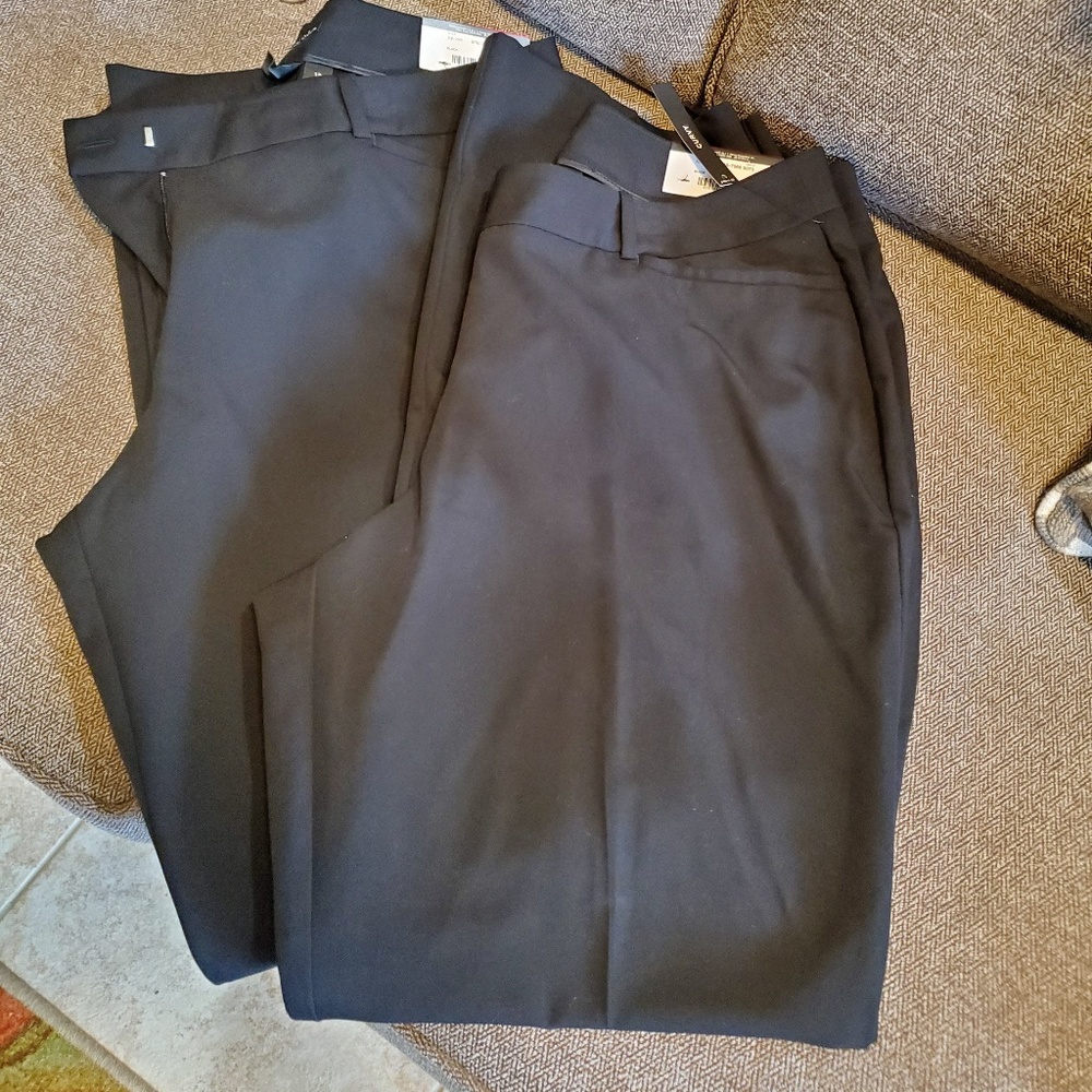 NEW NAVY WORTHINGTON TROUSER PANT LOT